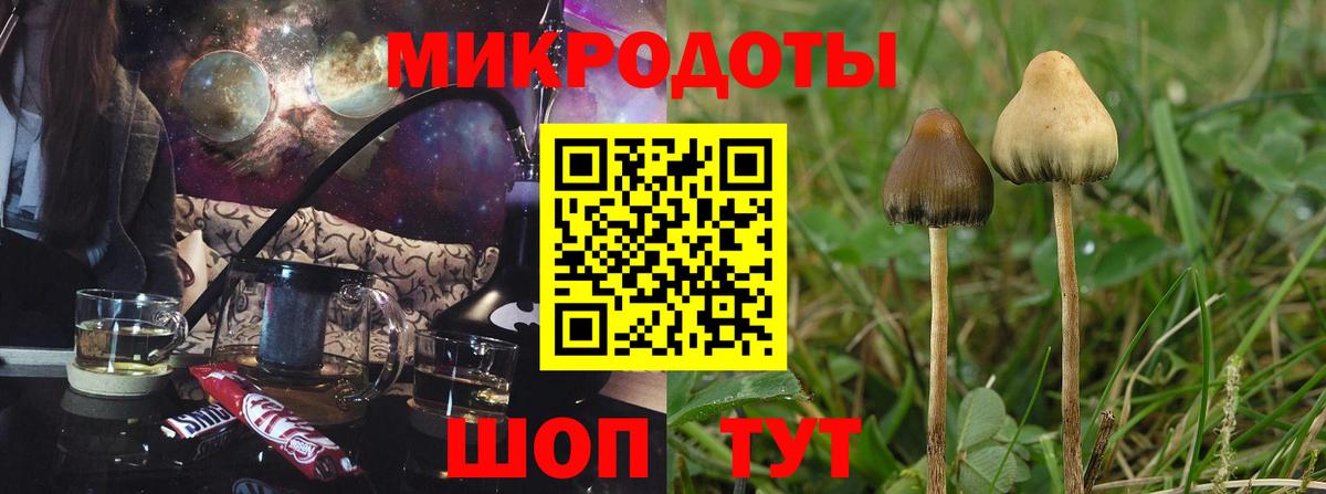 Псилоцибиновые грибы мицелий Пушкино