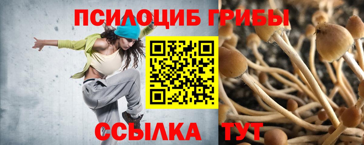 Псилоцибиновые грибы мухоморы  Вход с VPN  Пушкино 